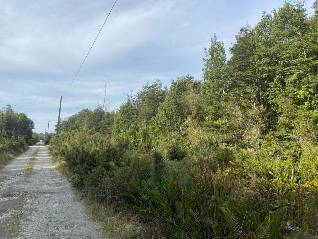 🌿 ¡OPORTUNIDAD DE INVERSIÓN EN LA CARRETERA A PARGUA! 🌿 — foto 1